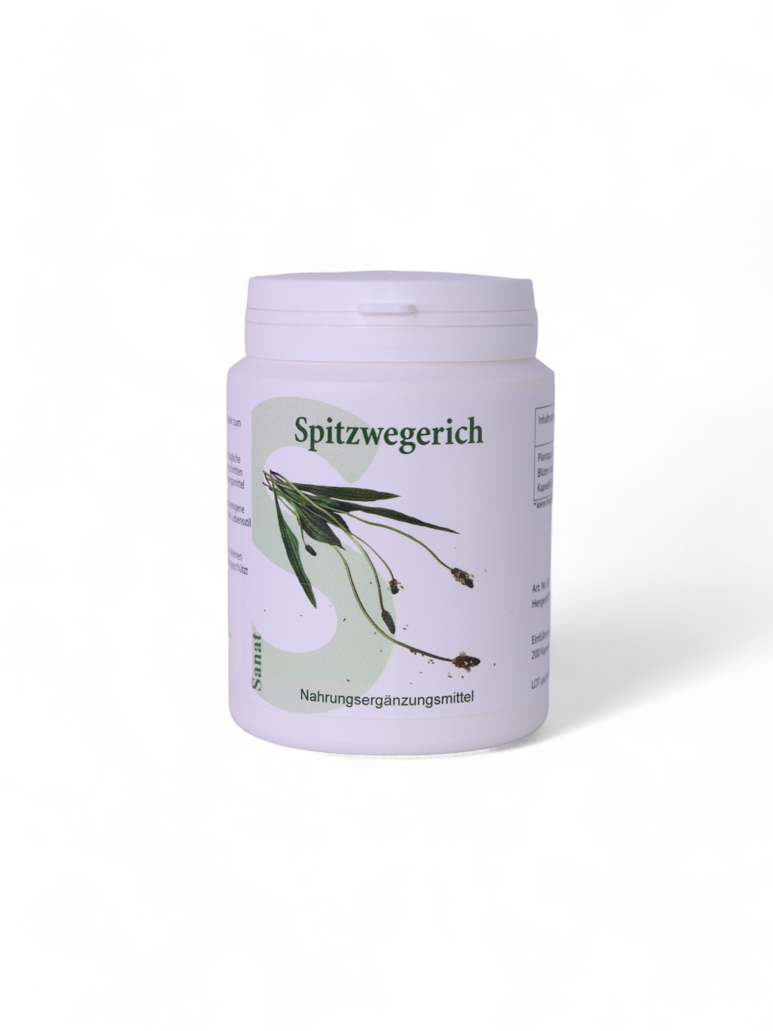 051_Spitzwegerich_Rohversion